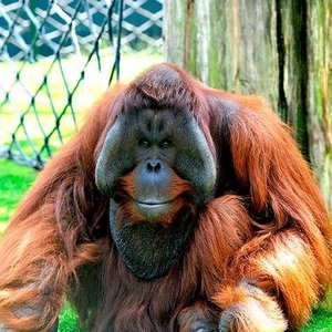 Zoo Deals Cheap Price Best Sale In Uk Hotukdeals