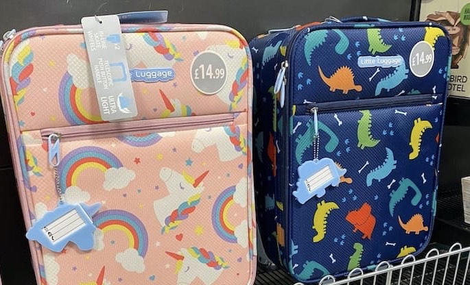 luggage tags home bargains