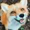 Ticking_Fox's avatar