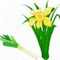 Daffodil1970's avatar