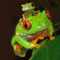 Frogling's avatar