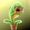 Piranha_Plant's avatar