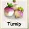 Turnip's avatar