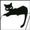 kitkat's avatar