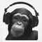 Bass_Monkey's avatar